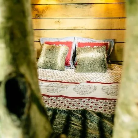 La Du Cerf Et Son Sauna בקתה Attre