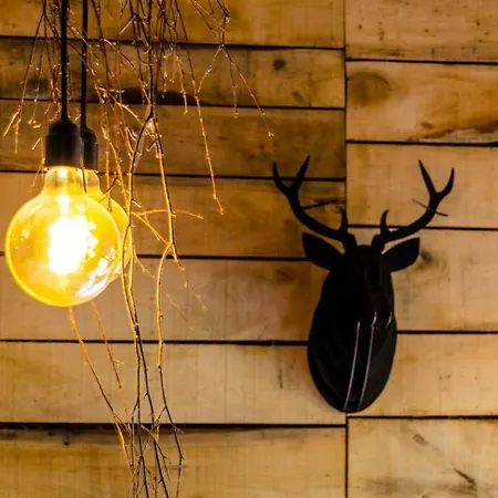 La Du Cerf Et Son Sauna בקתה *